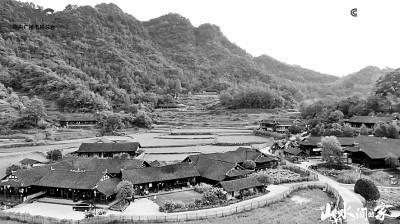 電視文藝創作描繪新時代"三農"嶄新圖景